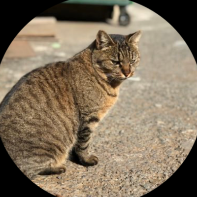 プロフィール画像